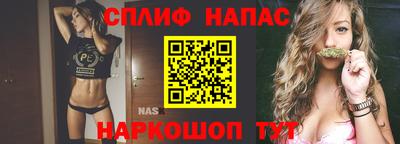 jwh Кингисепп