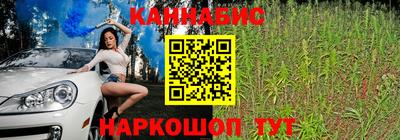jwh Кингисепп