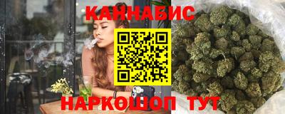 jwh Кингисепп