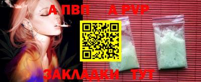 jwh Кингисепп