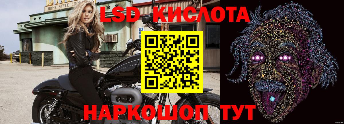 Шадринск  Марки N-bome 1500мкг  Марки N-bome 1500мкг  Марки 25I-NBOMe  Вход с VPN 