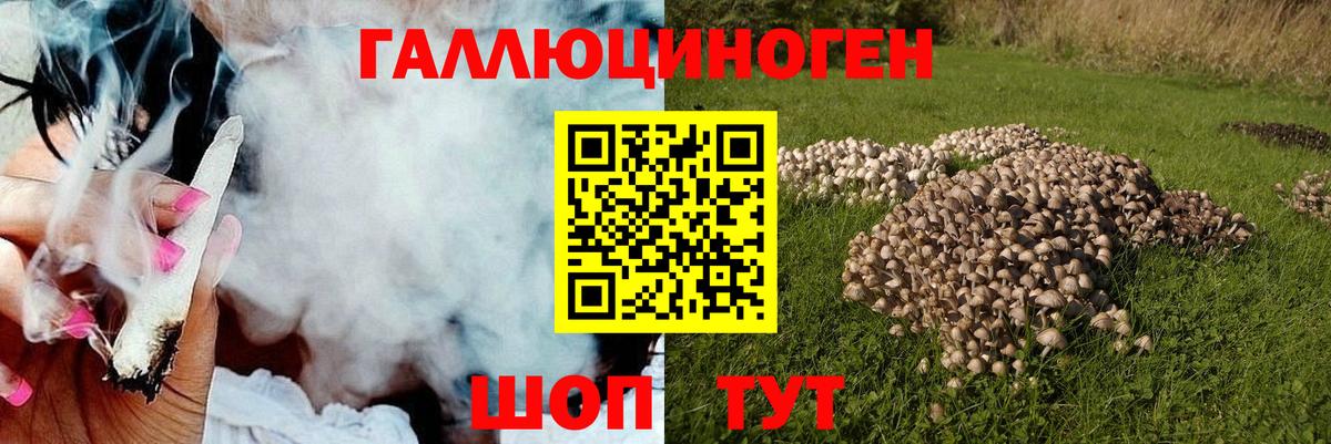 Шадринск  Галлюциногенные грибы Magic Shrooms  Вход с VPN  Псилоцибиновые грибы Magic Shrooms 