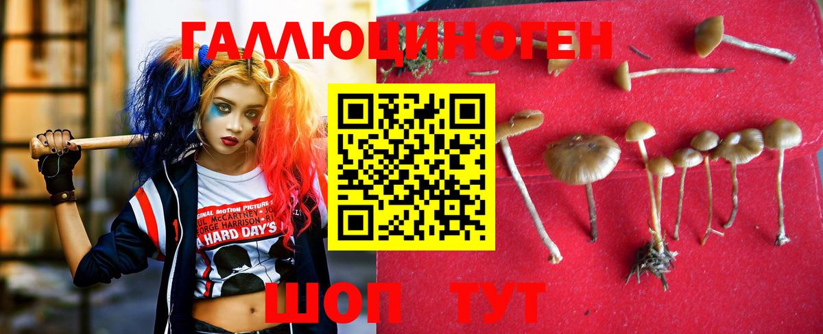 Псилоцибиновые грибы Magic Shrooms Шадринск