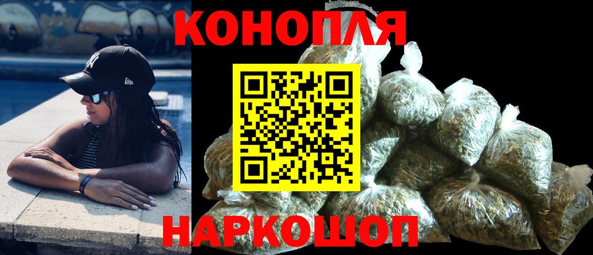 Бошки марихуана гибрид  Конопля White Widow  МАРИХУАНА планчик  Шадринск  Вход с VPN 